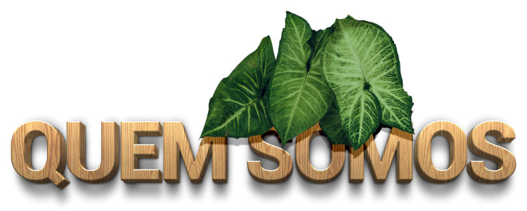 QUEM SOMOS - Apoio a empresas na transi&ccedil;&atilde;o para pr&aacute;ticas sustent&aacute;veis e governan&ccedil;a s&oacute;lida, impulsionando resultados financeiros positivos e gerando valor real. 