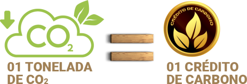 Cr&eacute;ditos de Carbono - Apoio a empresas na transi&ccedil;&atilde;o para pr&aacute;ticas sustent&aacute;veis e governan&ccedil;a s&oacute;lida, impulsionando resultados financeiros positivos e gerando valor real. 