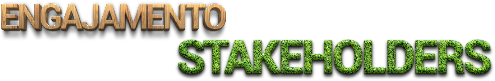 Engajamento de Stakeholders - Apoio a empresas na transi&ccedil;&atilde;o para pr&aacute;ticas sustent&aacute;veis e governan&ccedil;a s&oacute;lida, impulsionando resultados financeiros positivos e gerando valor real. 